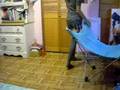 Pelvic Thrust!