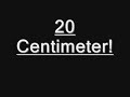 Möhre - 20 Centimeter Möhre - 20 Centimeter