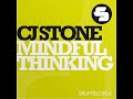 CJ Stone feat. Lyck - Mindful Thinking (Re-Fuge & CJ Stone Mix) Buy here on JunoDownload : www.junodownload.com beautiful vocal + beautiful melody = beautiful house ! Enjoy !