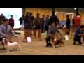 2010-03-09 | HAL basset hound --- Saitama-higashiClub dog show, Mar. 7 ... ~> (<span>4:)