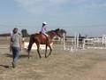 videos de cheval