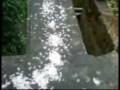 videos de Resident Baby_Ep 011_Baby coming to eat food