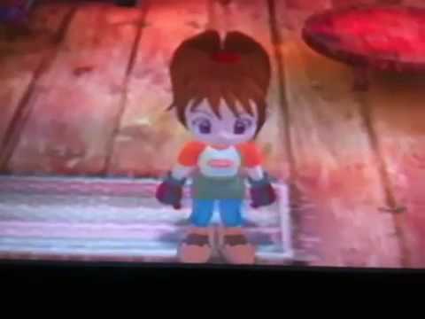 how to cheat in harvest moon a wonderful life