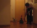 Catbowling Catbowling