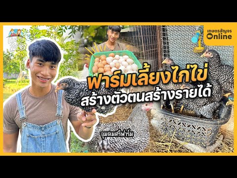 เกษตรกรรุ่นใหม่ กับฟาร์มเลี้ยงไก่ไข่ อุมดมศรีฟาร์ม สร้างตัวตนสร้างรายได้ | เกษตรสัญจร