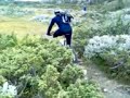 Skogshorn 1