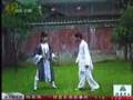 wudang gongfu | Interview of Chen Shixing by SDTV