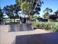 briflip attempt