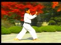 8. Taekwondo Poomsae Taegeuk Pal Jang (WTF)