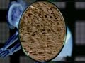 1.5.-Giza gorputza (1.zatia) 1.5.-Giza gorputza (1.zatia)