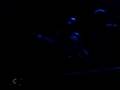 videos de Klaxons!