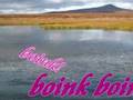 videos de Cool soud of skipping a stone across thin ice.