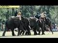 Elephant Polo - Airey and Wheeler - WEPA 2007