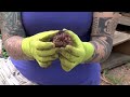 How to Plant Window Boxes - Gardening Tutorial