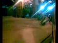 gallo hace trampa