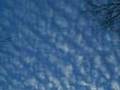 bocuma/i saw drones