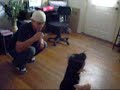 allove walking