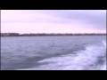 videos de zodiac
