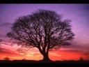 DJ Doboy - DI.FM - April Guest Mix Part 2 DJ Doboy - DI.FM - April Guest Mix Part 2