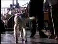 World's Ugliest Dog Contest