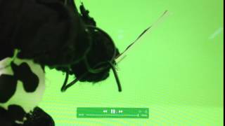 Ejercicio movimiento