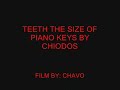 teeth the size of piano keys  lyrics 