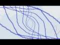 Dood (Poetry of Forough Farrokhzad Miyane Tariki)