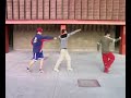 handball hmo
