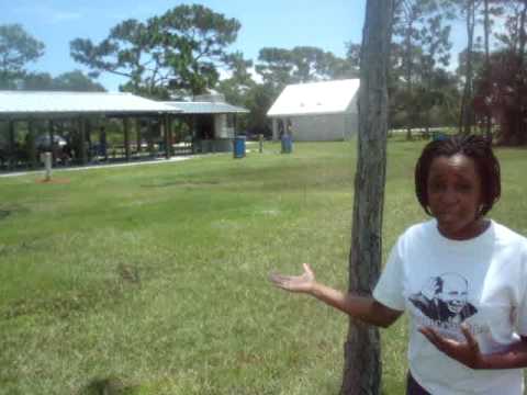 Too Do In Florida: Wickham Park