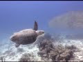 Nekton - Cay Sal Bank, June 2006