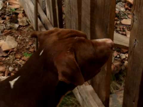 MOV01440