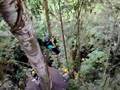 Rappelling down from canopy tour in Thailand