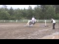 Baghira 52 (Bambi)