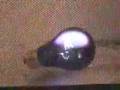 Pyro Fun with the Microwave Plasma Experiments Montage