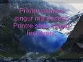 Voi pluti