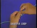 Dropper Loop