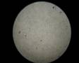 Petrology - A - Quartzite Plain Polarised