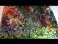 Hsky - Abstract Oil Painting 1994 / 2008