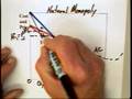 12.3 - Natural Monopolies