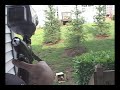 PM6