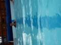 petite-Sirene