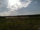 Grillen die Zweite