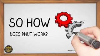 How PNUT Works