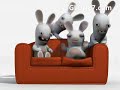 rabbit loves wii