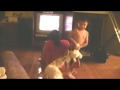 Click here to watch this video Cute kid trying to get his teddy bear from Dog