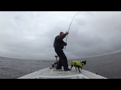 Val - Watch Val Osinski on the final day of action at the 2015 Rayovac FLW Series tournament on Lake Okeechobee. Osinski caught 25 pounds, 4 ounces of largemouth bass on a Gambler EZ Swimmer, Why ...