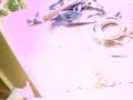 URBEX STORM dragged from a ruined store