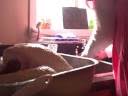 Holiday Turkey 101 pt.2