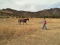 West Texas Hike