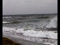 apuana
